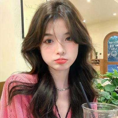 工程师普赖特的方案